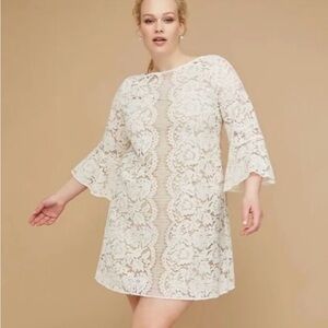 Elegant Lace Dress